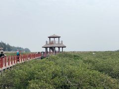 -北海金海湾红树林生态旅游区