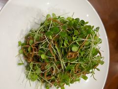豆苗拌豆丝-喜鼎海胆水饺(东港店)