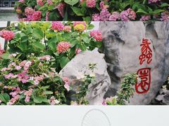-无锡蠡湖国家湿地公园-蠡园