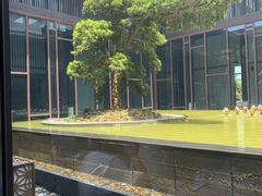 -上海崇明金茂凯悦酒店