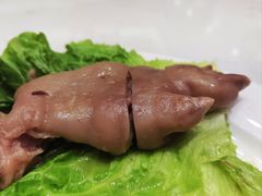 -丁老爷子苏香圆