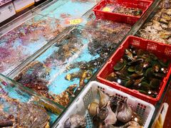 -德兴海鲜渔港(辉煌大厦店)