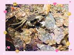 螃蟹-澜悦港海鲜体验主题餐厅