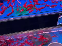 -海马体照相馆丨大师(青岛万象城店)