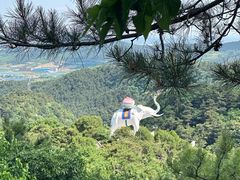 -青岩寺风景区