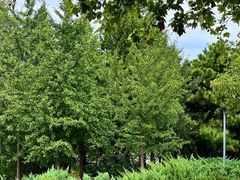 -长辛店二七公园