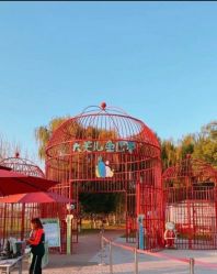 -大美儿童世界(奥林匹克水上公园店)