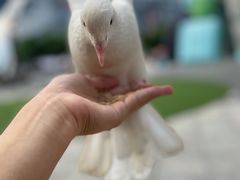 -IPARK购物中心