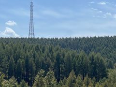 -塞罕坝国家级自然保护区