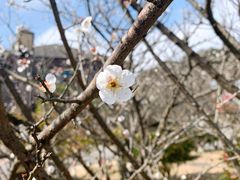 -玉苍山国家森林公园