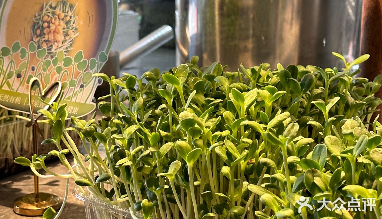 太原初蓉❗️列入和男朋友约会清单NO.1❗️