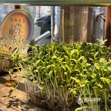 太原初蓉❗️列入和男朋友约会清单NO.1❗️