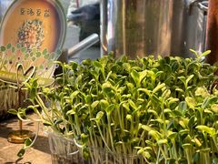 -初蓉丨遇见新川菜(亲贤街荣耀店)