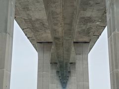 -中澳友谊花园