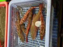 -都斛海鲜街