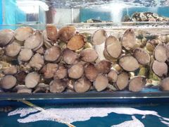 -宝湖海鲜酒家(西环店)