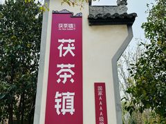 -茯茶镇