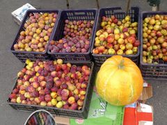 路边水果摊-龙泉寺