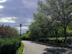 -永定河休闲森林公园