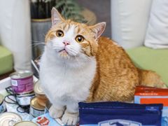 -建设三路(地铁站)