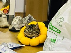 -美迦爱-牙专科·兔科·骨科诊疗中心(北苑店)