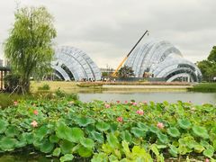 -上海植物园-4号门售票处