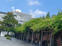 -乌镇景区