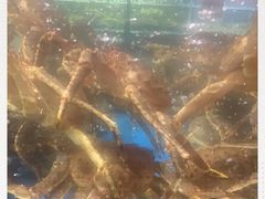 -徐记海鲜(大明宫|北二环店)
