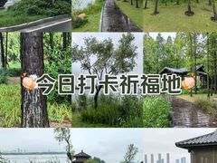 -渤公岛生态公园