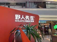-野人先生现做冰淇淋(北京王府井东方新天地店)