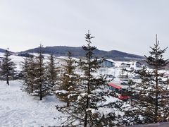 -长白山鲁能胜地瑞士酒店-度假村·怡客全日制餐厅