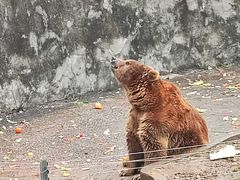 -无锡动物园·太湖欢乐园