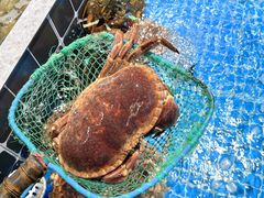 -巧克力渔家.小船海鲜胶东菜(万平口店)