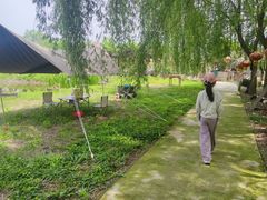 -同銮特种养殖场·龙虾垂钓