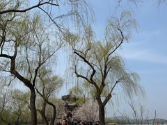 -颐和园