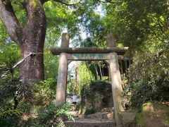 -西泠印社