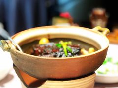 黑毛猪仔排-新荣记(南京西路店)
