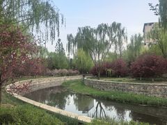 -元大都城垣遗址公园