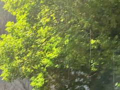 -杭州西湖银泰百货