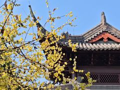 -钱王祠