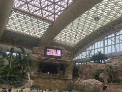 -杭州开元森泊度假乐园