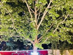 -北京海德酒店温泉