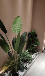 -丽都整形美容医院·全国连锁旗舰店