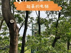 -红花山公园