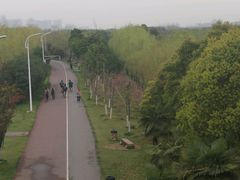 -艾溪湖湿地公园