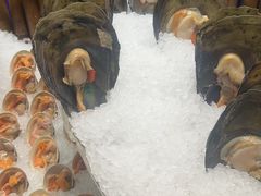 -初色海鲜自助(万丰路店)