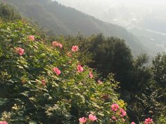 -杭州半山国家森林公园