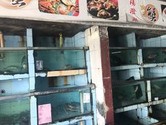 -新河畔海鲜酒楼(虎门店)