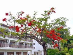 -三亚西岛海洋文化旅游区