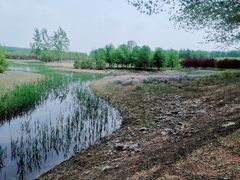 -东郊湿地公园